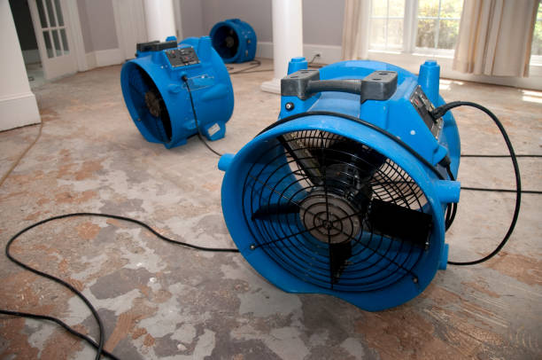 Best Water damage cleanup near me  in Round Rock, TX