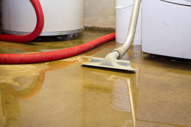 Best Commercial water damage restoration  in Round Rock, TX