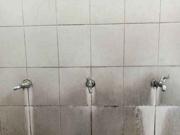 Best Local water damage restoration  in Round Rock, TX
