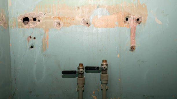 Best Sewage cleanup and water damage restoration  in Round Rock, TX